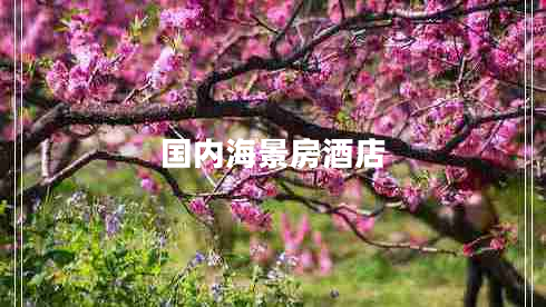國內(nèi)海景房酒店