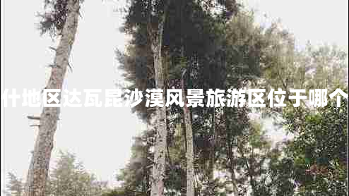 喀什地區(qū)達(dá)瓦昆沙漠風(fēng)景旅游區(qū)位于哪個省