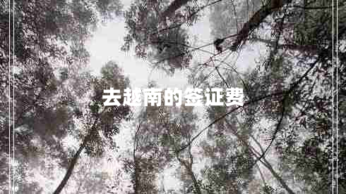 去越南的簽證費(fèi)