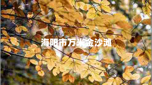 海陽市萬米金沙灘