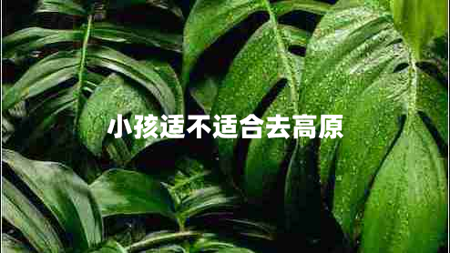 小孩適不適合去高原