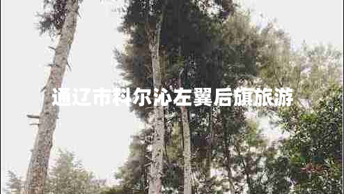 通遼市科爾沁左翼后旗旅游 通遼市科爾沁左翼后旗旅游