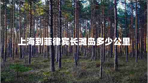 上海到菲律賓長灘島多少公里 上海到菲律賓長灘島多少公里