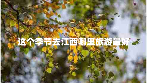 這個季節(jié)去江西哪里旅游最好