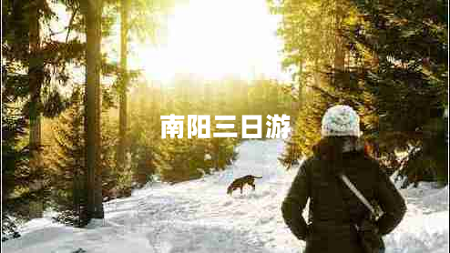 南陽三日游 南陽三日游