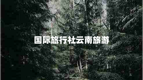 國際旅行社云南旅游