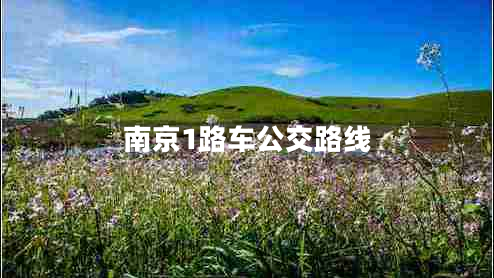 南京1路車公交路線 南京1路車公交路線
