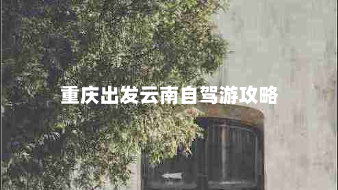 重慶出發(fā)云南自駕游攻略