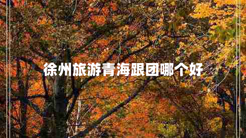 徐州旅游青海跟團哪個好