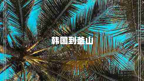韓國到釜山 韓國到釜山