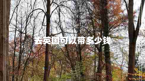 去英國可以帶多少錢