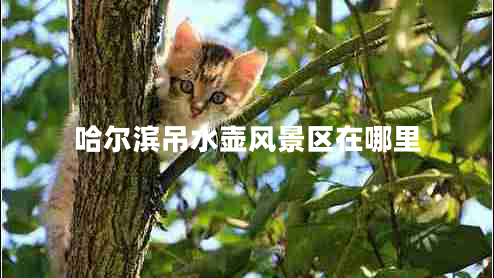 哈爾濱吊水壺風(fēng)景區(qū)在哪里 哈爾濱吊水壺風(fēng)景區(qū)在哪里