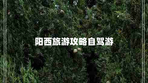 陽西旅游攻略自駕游