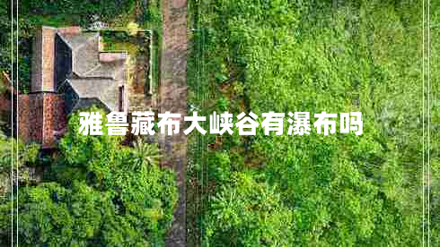 雅魯藏布大峽谷有瀑布嗎 雅魯藏布大峽谷有瀑布嗎