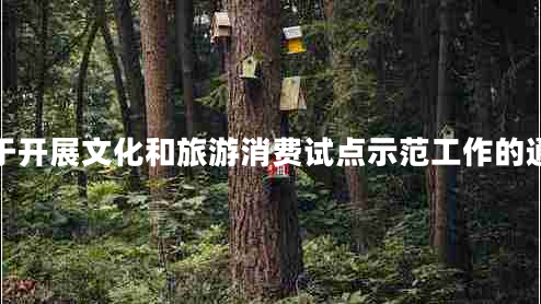 關(guān)于開(kāi)展文化和旅游消費(fèi)試點(diǎn)示范工作的通知