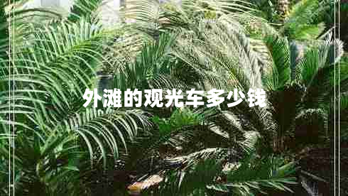 外灘的觀光車多少錢