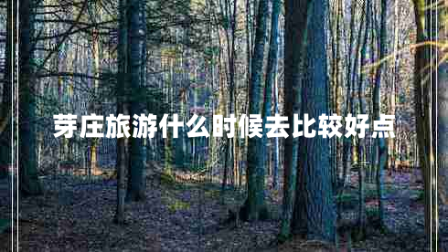 芽莊旅游什么時候去比較好點