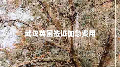 武漢英國簽證加急費用