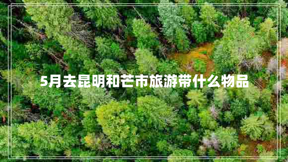 5月去昆明和芒市旅游帶什么物品
