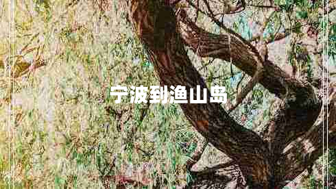 寧波到漁山島 寧波到漁山島