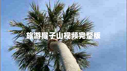 旅游猴子山視頻完整版 旅游猴子山視頻完整版