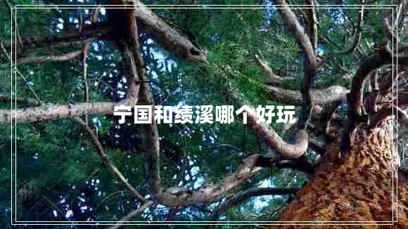 寧國和績溪哪個好玩