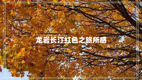 龍巖長(zhǎng)汀紅色之旅所感