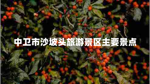中衛(wèi)市沙坡頭旅游景區(qū)主要景點(diǎn)