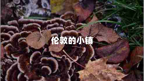 倫敦的小鎮(zhèn)