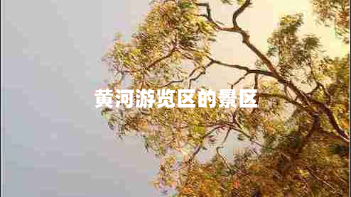 黃河游覽區(qū)的景區(qū) 黃河游覽區(qū)的景區(qū)