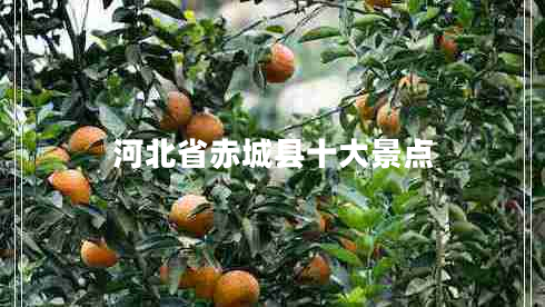 河北省赤城縣十大景點(diǎn)