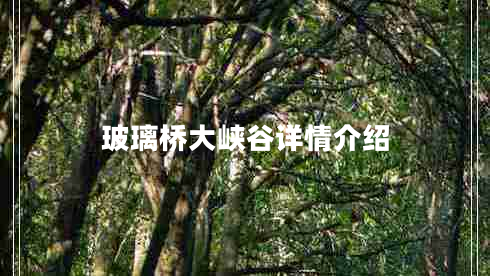 玻璃橋大峽谷詳情介紹