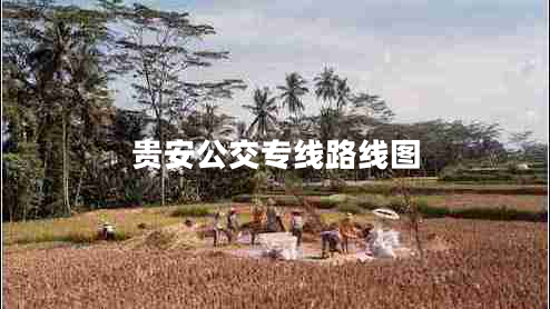 貴安公交專線路線圖 貴安公交專線路線圖