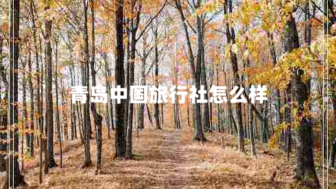 青島中國(guó)旅行社怎么樣