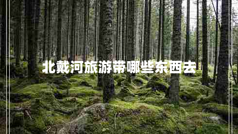 北戴河旅游帶哪些東西去 北戴河旅游帶哪些東西去