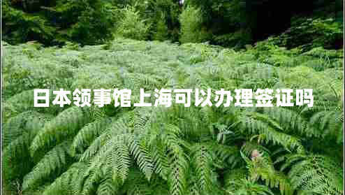 日本領事館上?？梢赞k理簽證嗎