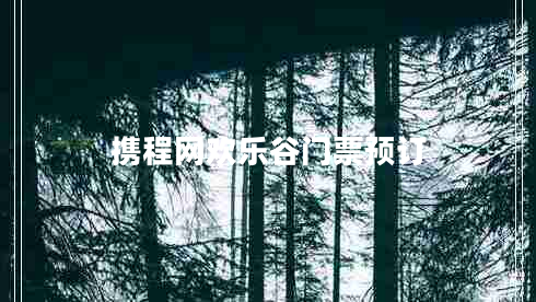 攜程網(wǎng)歡樂谷門票預(yù)訂