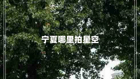 寧夏哪里拍星空 寧夏哪里拍星空