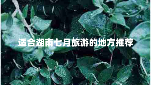 適合湖南七月旅游的地方推薦