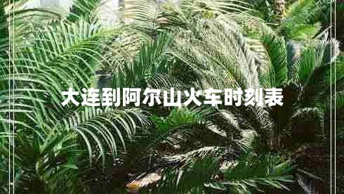 大連到阿爾山火車時刻表