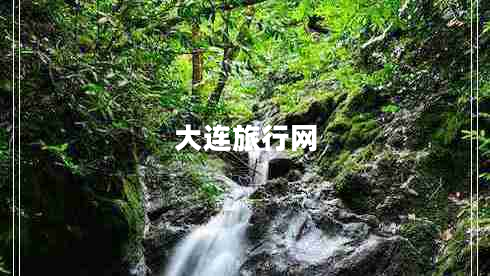 大連旅行網(wǎng)