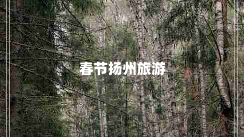 春節(jié)揚(yáng)州旅游