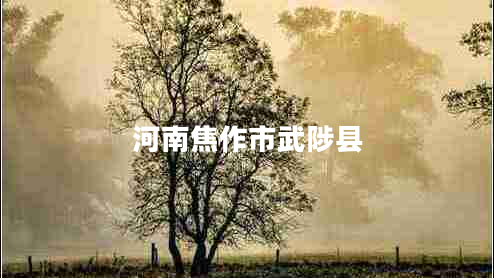 河南焦作市武陟縣