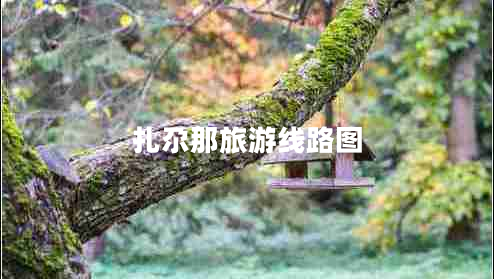 扎尕那旅游線路圖