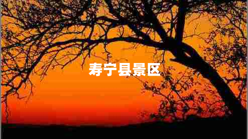 壽寧縣景區(qū) 壽寧縣景區(qū)