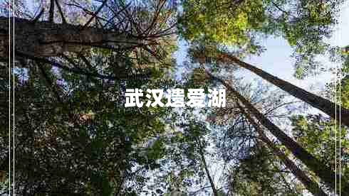 武漢遺愛(ài)湖