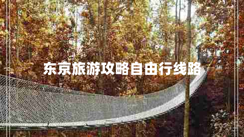 東京旅游攻略自由行線路
