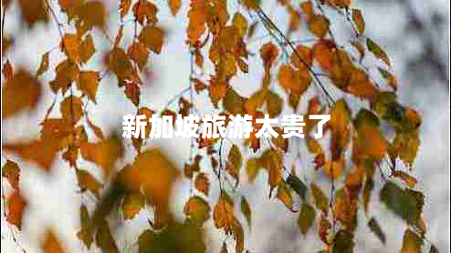 新加坡旅游太貴了