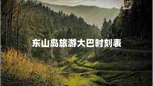 東山島旅游大巴時刻表