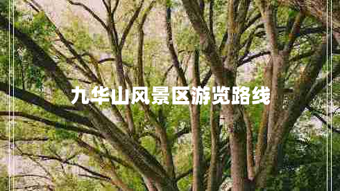 九華山風(fēng)景區(qū)游覽路線